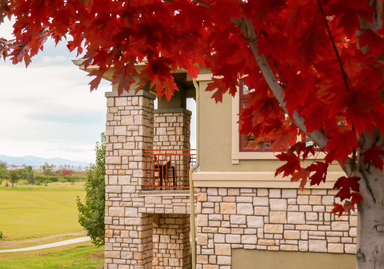 Exterior stone veneer, Natural Limestone Sunset Stone