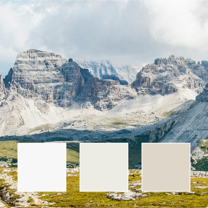 color inspiration white