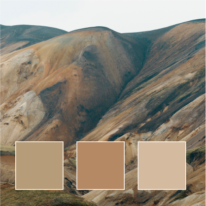 color inspiration tan