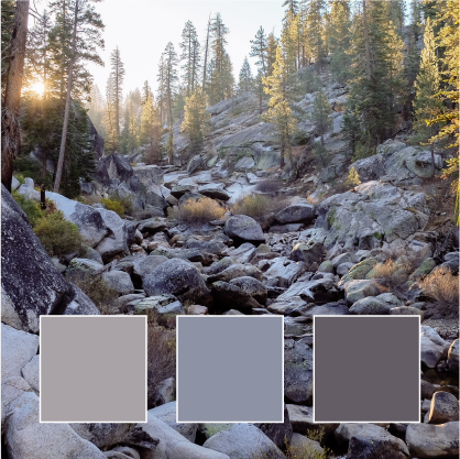 color inspiration gray