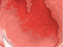 red & rusts color swatch