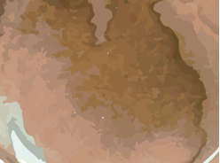 earthen browns color swatch