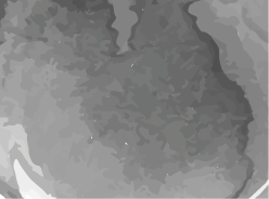 black & greys color swatch